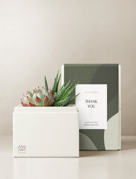 Thank You Succulent Gift Box