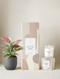 Welcome Home Plant Gift Set