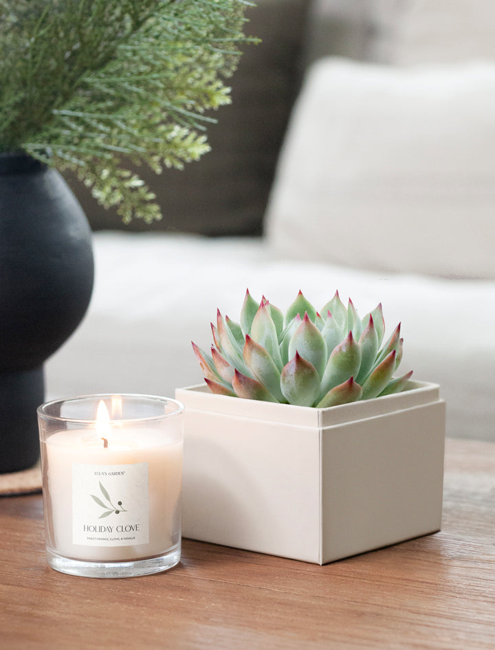 20+ Best Christmas Scented Candles to Buy in 2023