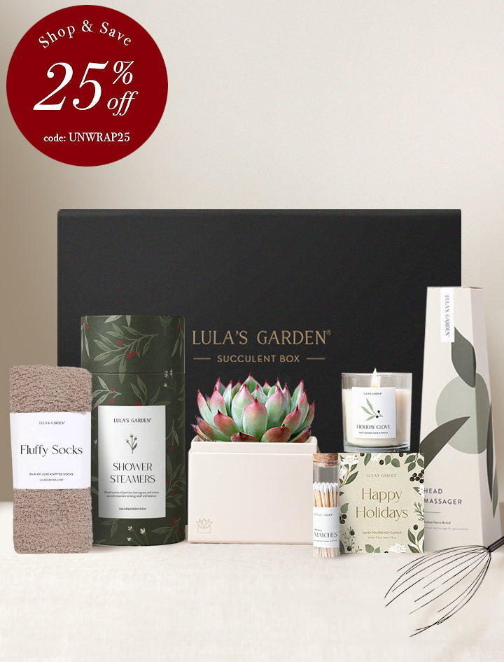 Wellness Gift Set - Happy Holidays