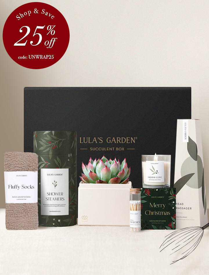 Wellness Gift Set - Merry Christmas