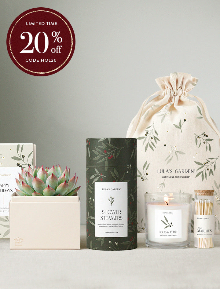 Christmas Gift Ideas for Everyone - Cherished Bliss