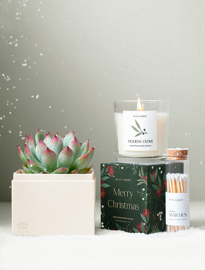 Christmas Bliss Garden & Soy Candle & Matches