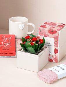 Cozy Love Gift Set - Valentine's Day