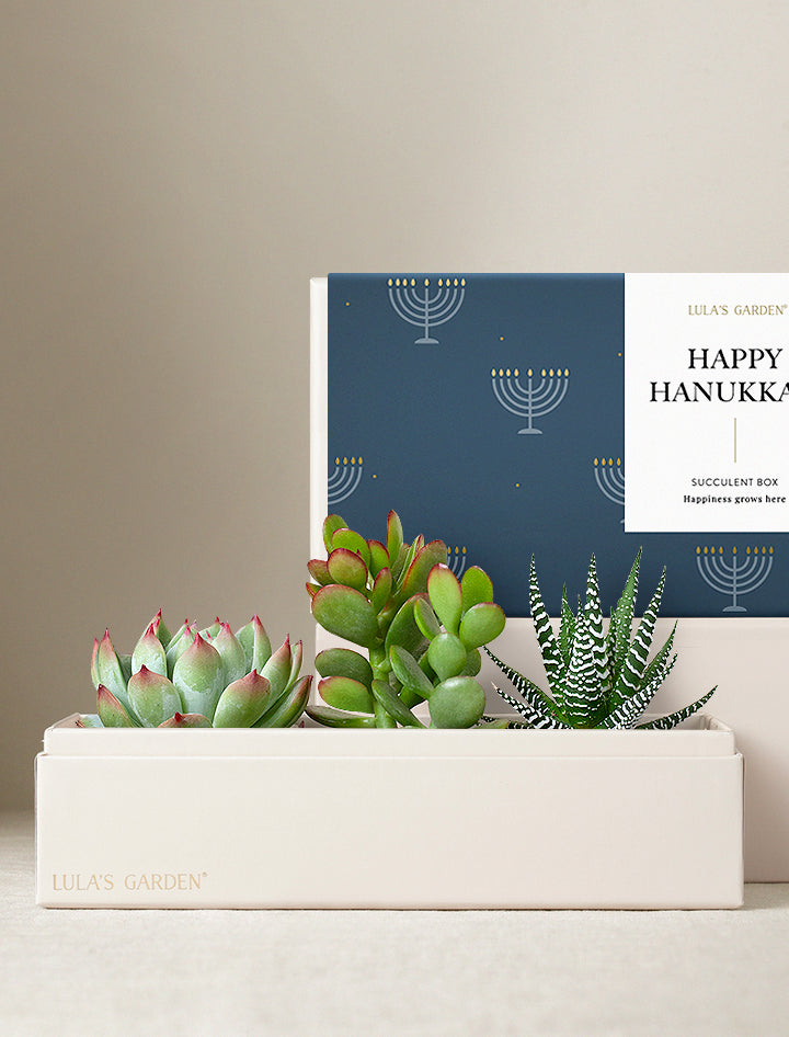 Hanukkah Jewel Garden