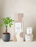 Welcome Home Plant Gift Set