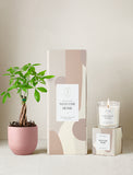 Welcome Home Plant Gift Set