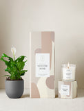 Welcome Home Plant Gift Set