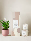 Welcome Home Plant Gift Set