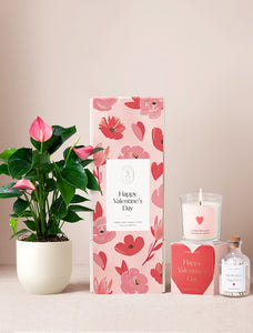 Valentine's Day Pink Anthurium Plant & Soy Candle & Matches