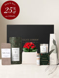 Wellness Gift Set - Merry Christmas