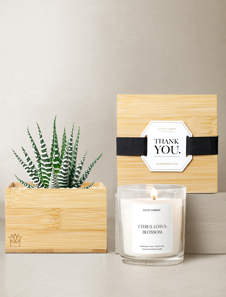 Bamboo Petite Zebra Garden Gift Set - Thank You