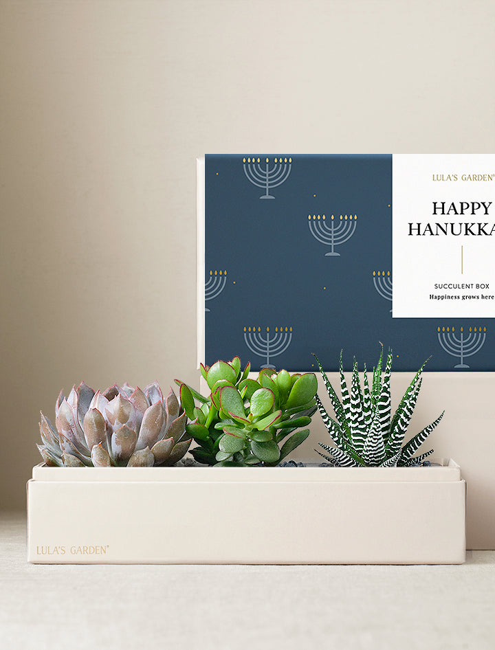 Hanukkah Verdant Garden