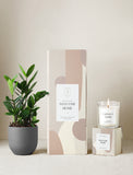 Welcome Home Plant Gift Set